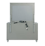 Gunnison Silver Metallic 6-Drawer Dresser from Coaster - Luna Furniture