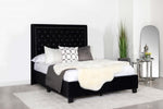 Hailey Upholstered Tufted Platform Queen Bed Black - 315925Q - Luna Furniture