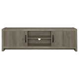 Hays Gray Driftwood 2-Door TV Console from Coaster - Luna Furniture