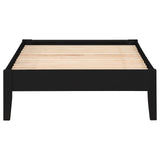 Hounslow Black Twin Platform Bed from Coaster - Luna Furniture