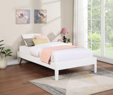 Hounslow White Twin Platform Bed from Coaster - Luna Furniture
