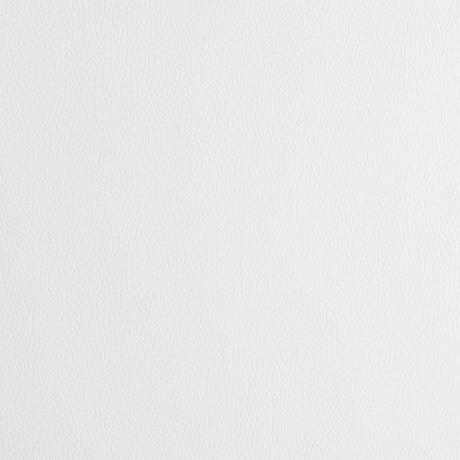 Juniper White and Chrome Armless Dining Chairs, Set of 2 from Coaster - Luna Furniture