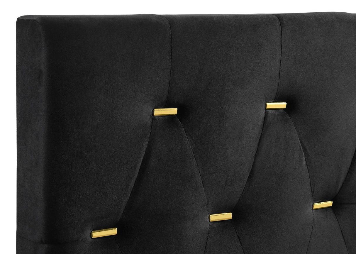 Kendall Tufted Panel Eastern King Bed Black and Gold - 224451KE - Luna Furniture