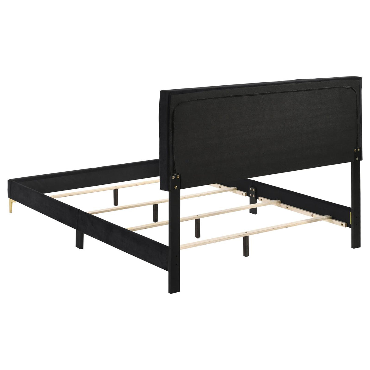 Kendall Tufted Panel Queen Bed Black and Gold - 224451Q - Luna Furniture