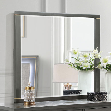 Kieran Dresser Mirror Grey - 224744 - Luna Furniture