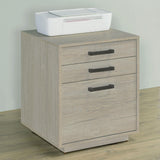 Loomis Whitewashed Gray 3-Drawer Square File Cabinet from Coaster - Luna Furniture