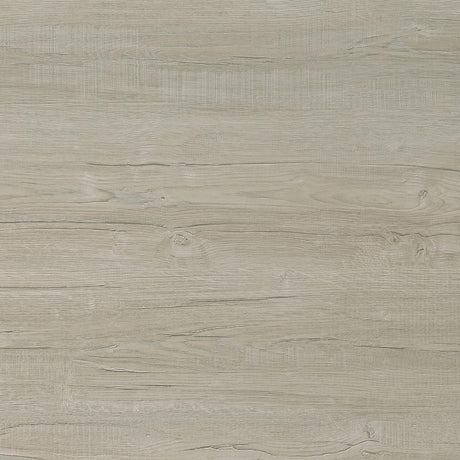 Loomis Whitewashed Gray 4-Shelf Bookcase from Coaster - Luna Furniture