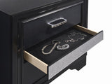 Miranda Black 2-Drawer Nightstand from Coaster - Luna Furniture