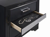 Miranda Black 2-Drawer Nightstand from Coaster - Luna Furniture
