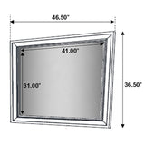 Miranda Black 4-Piece Queen Platform Storage Bedroom Set from Coaster - Luna Furniture