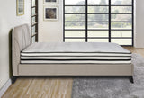 MT-PH12CK 12" California King Hybrid Mattress from Homelegance - Luna Furniture