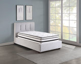 MT-PH12T 12" Twin Hybrid Mattress from Homelegance - Luna Furniture