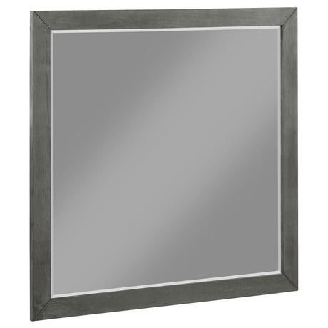 Nathan Rectangular Dresser Mirror Grey - 224604 - Luna Furniture