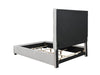Panes Queen Tufted Upholstered Panel Bed Beige - 315850Q - Luna Furniture