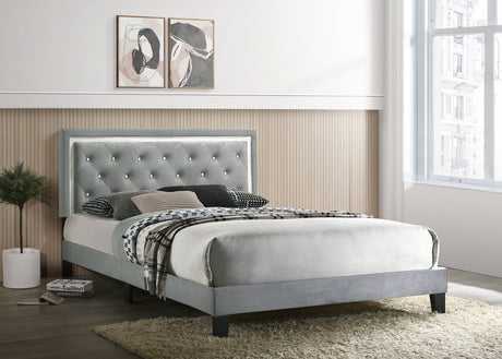 Passion Gray Queen Platform Bed - Luna Furniture
