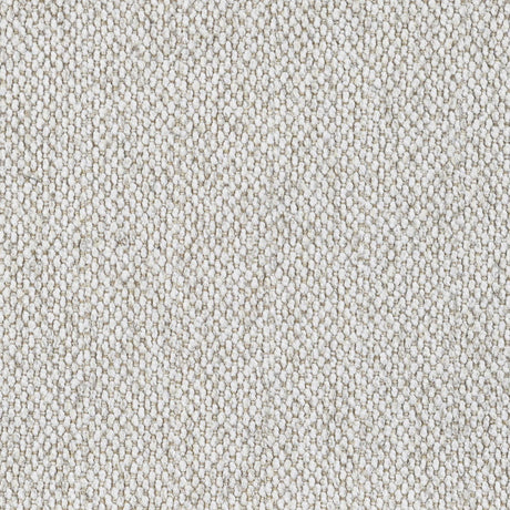 Rainn Latte Upholstered Tight Back Loveseat from Coaster - Luna Furniture