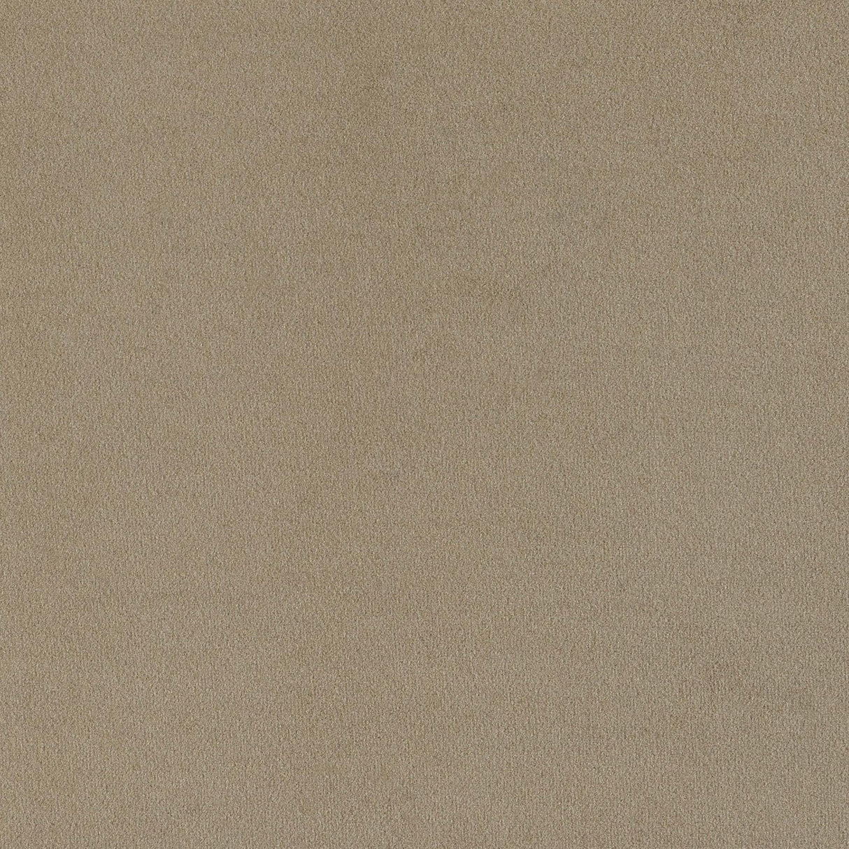 Rainn Latte Upholstered Tight Back Sofa from Coaster - Luna Furniture