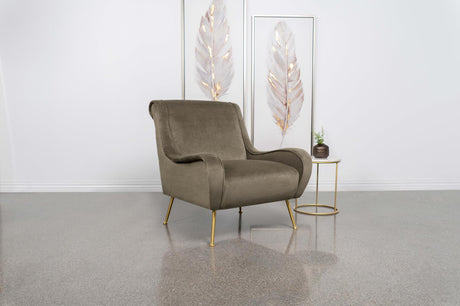 Ricci Upholstered Saddle Arms Accent Chair Truffle and Gold - 903044 - Luna Furniture