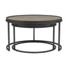 Rodrigo 2-piece Round Nesting Tables Weathered Elm - 931215 - Luna Furniture