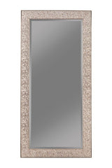 Rollins Silver Sparkle Rectangular Floor Mirror from Coaster - Luna Furniture