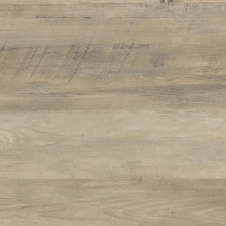 Sachin Rectangular TV Console with Glass Doors from Coaster - Luna Furniture