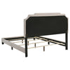 Tamarac Upholstered Nailhead Queen Bed Beige - 310061Q - Luna Furniture
