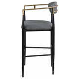 Tina Dark Gray Metal Pub Height Upholstered Bar Stool, Set of 2 from Coaster - Luna Furniture