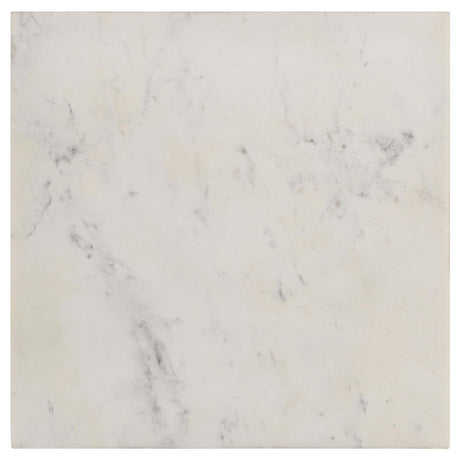 Tobin White and Black Square Marble Top End Table from Coaster - Luna Furniture