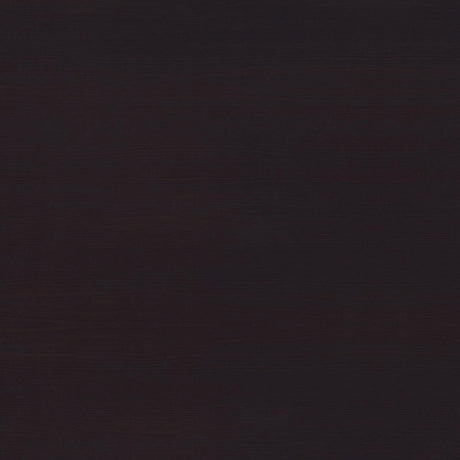 Tracy Cappuccino 2-Drawer Computer Desk from Coaster - Luna Furniture